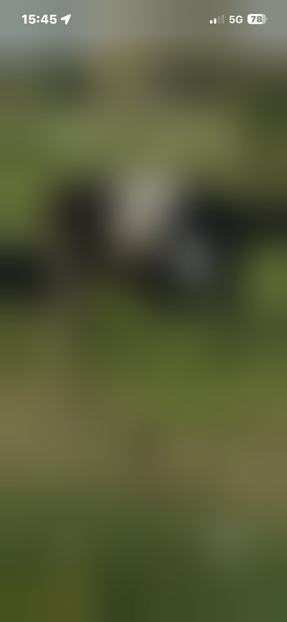 Image 1 of Wunderschönes dunkelbraunes 2 1/2-Sitzer-Sofa von Roche Bobois