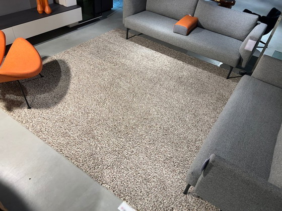 Image 1 of Millenerpoort Piccolo 25 rug - 280x310