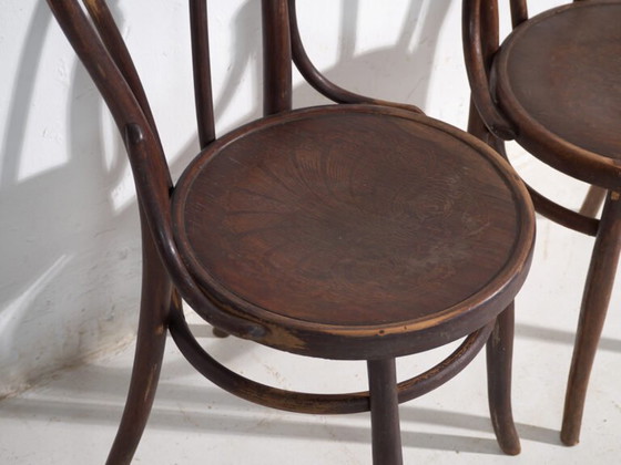 Pair of antique bentwood chairs in the Thonet style – Central Europe, circa 1900 – Dining chairs (photo 18 of 40)