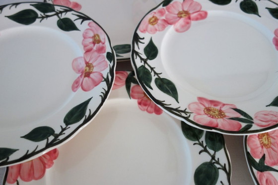8 Villeroy & Boch „Wild Rose“ Speiseteller, 1970 – Geschirr, Ceramic (photo 3 of 8)
