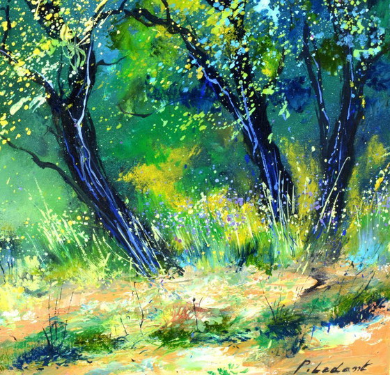 Image 1 of Leprechauns' meeting place