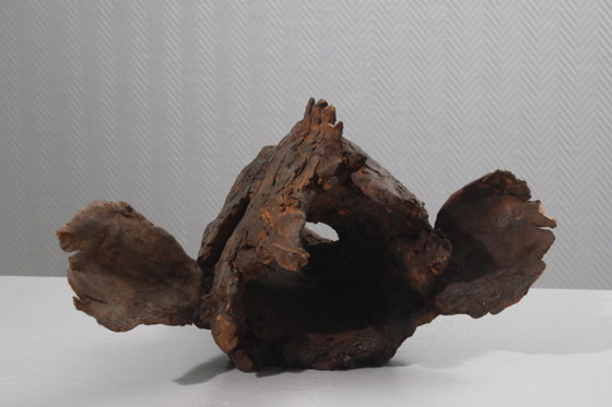 Image 1 of Philippe Conficconi (1962-2019) Large terracotta grouper animal sculpture