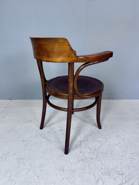Image 1 of Chaise Thonet Cosmos