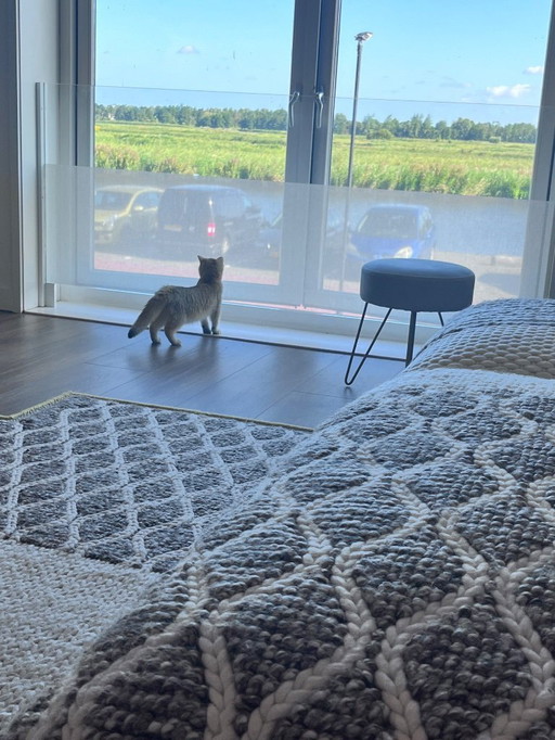 Patricia Urquiola Mangas Space composition Canapé 02' avec tapis assorti