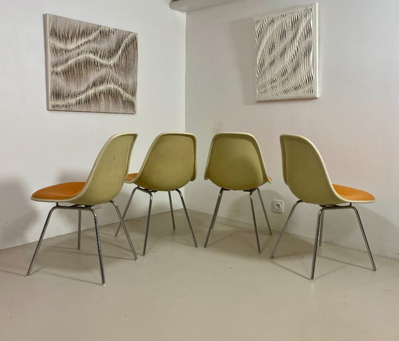 Image 1 of Juego de 4 sillas DSW Eames – Herman Miller (1952)