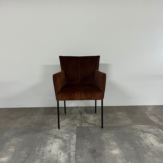 Bliss Set di 6 – Bert Plantagie, Sedie da pranzo (photo 2 of 6)