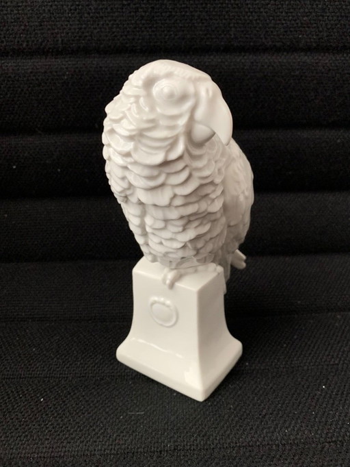 Parrot of Rosenthal