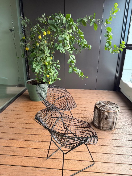 Image 1 of Knoll Bertoia Diamond buitenfauteuil