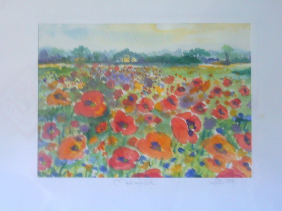 Image 1 of Aquarelle originale - Motif/titre : Prairie de coquelicots