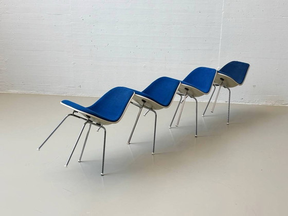 Image 1 of Set of 4 chairs (sidechairs) by Charles Eames for Hermann Miller, 1960s
