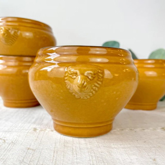 4 Ciotole Vintage in Ceramica Testa di Leone per Zuppa di Cipolle - Miele e Nero, Made in France – Retro (photo 3 of 9)