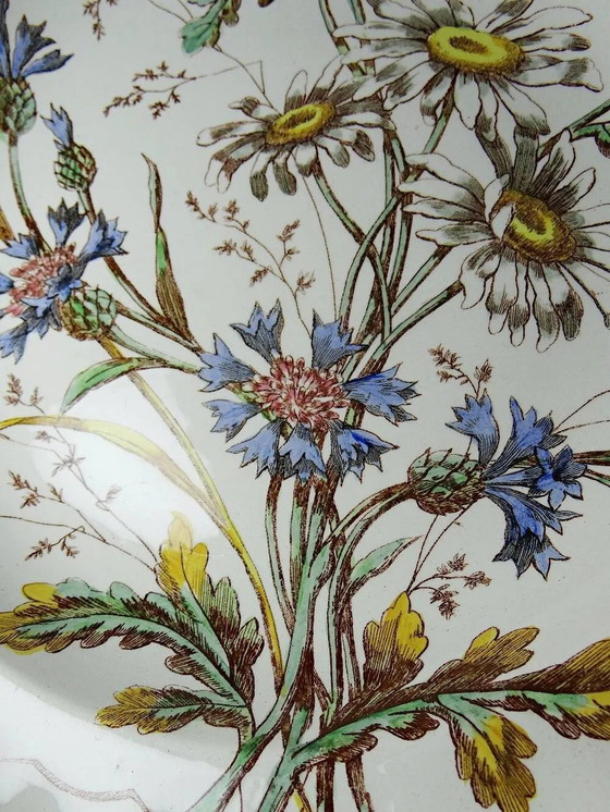 Antike Longchamp Flachschale mit polychromen Gänseblümchen aus Eisenstein. – Geschirr, Porzellan, Art Nouveau (photo 6 of 13)