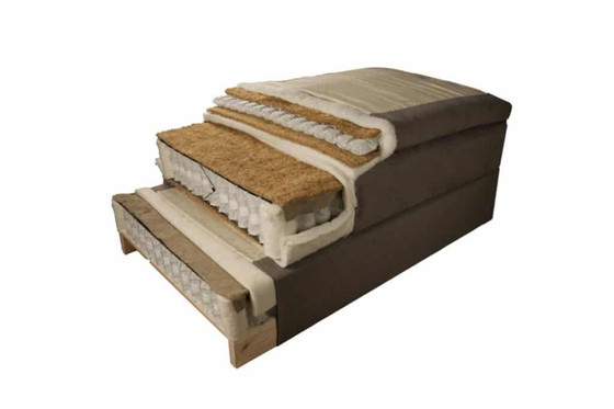 Image 1 of Ecolife - Agave Continental