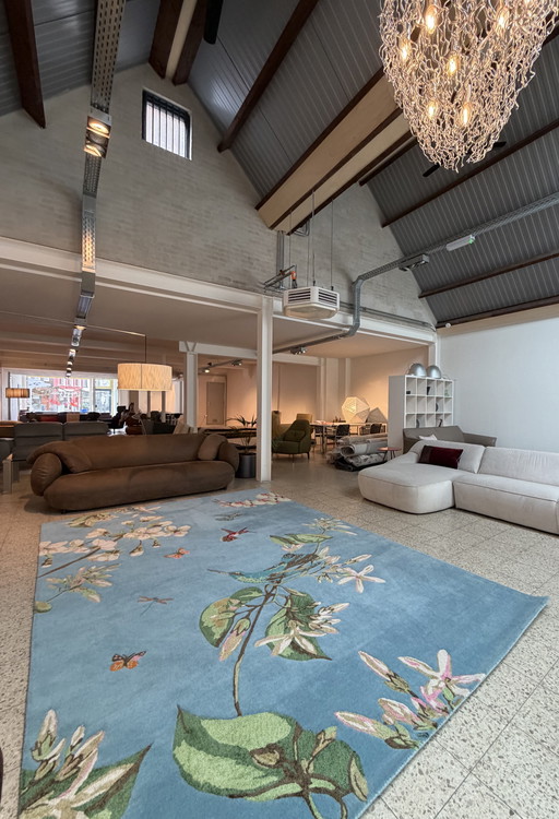 Tappeto Brink and Campman Wedgwood Hummingbird Blue