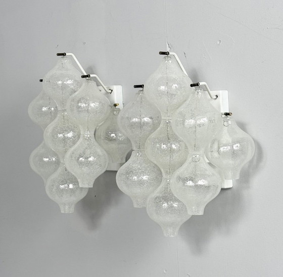 Image 1 of Ensemble de 2 appliques murales, modèle : « Tulipan 9 WA » pour KALMAR FRANKEN KG, Autriche, années 1960