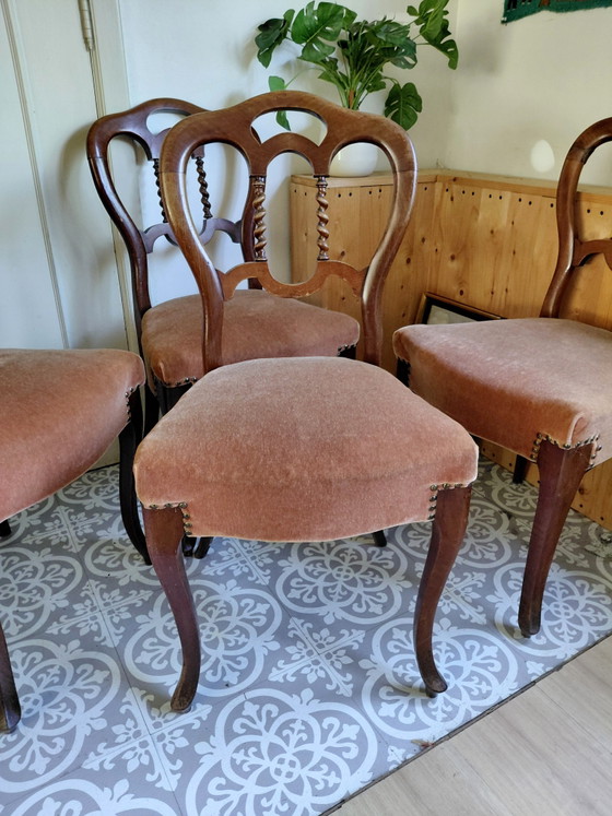 Juego de 4 sillas de comedor antiguas estilo Biedermeier - Buen estado – Velvet, Wood (photo 3 of 13)