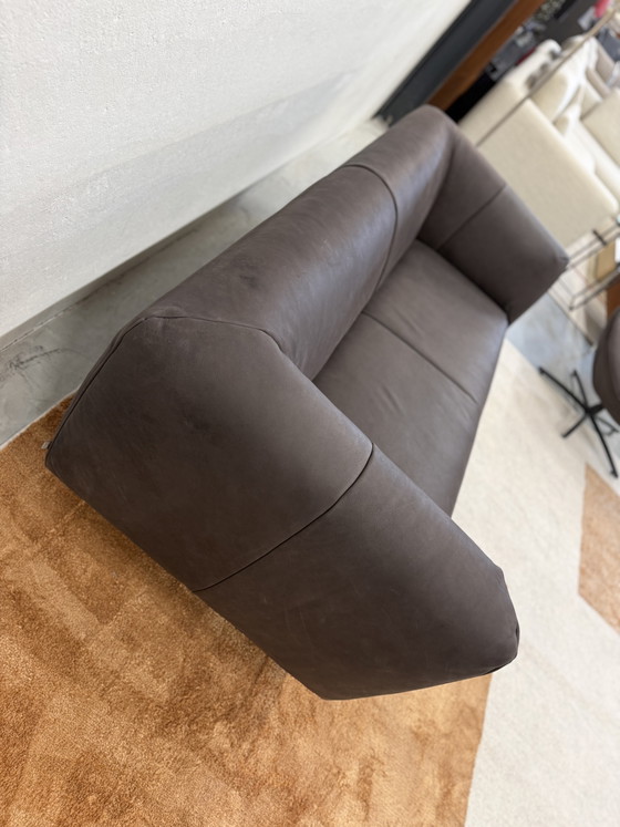 Image 1 of Label van den Berg Moby Dick 2.5 Seater Dark Brown