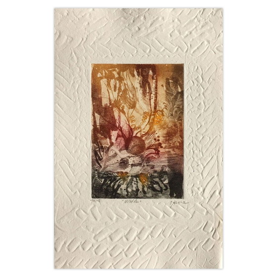 Osanne, gesigneerde ets, Nivéoles, 1985 – Litho's & Zeefdrukken, Paper (photo 4 of 5)