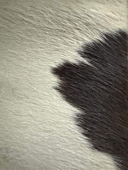 Paar LC1 Stühle Le Corbusier