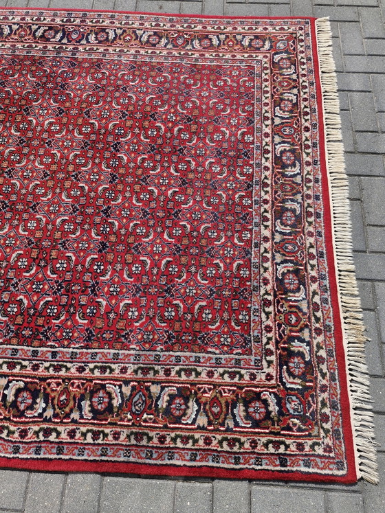 Vintage Handgeknoopt Perzisch Bidjar Tapijt – Iran – 305 x 200 cm – Vloerkleden en tapijten, Cotton, Wool (photo 10 of 15)