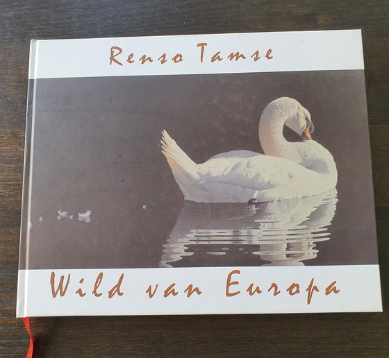 Image 1 of Impression giclée à l'aquarelle « Losing Feathers » de Renso Tamse