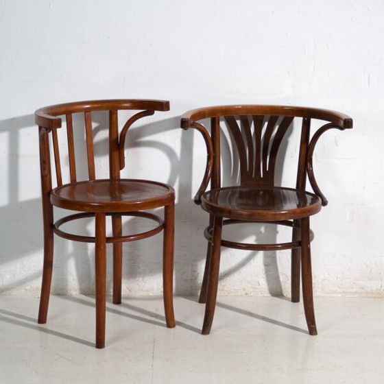 Pair of antique bentwood chairs in the Thonet style – Central Europe, circa 1905 – Dining chairs (photo 5 of 40)