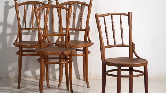 Antikes Set von 4 Bugholzstühlen aus gebogenem Holz – Mitteleuropa, um 1900 – Thonet, Esszimmerstühle, Metal (photo 3 of 40)