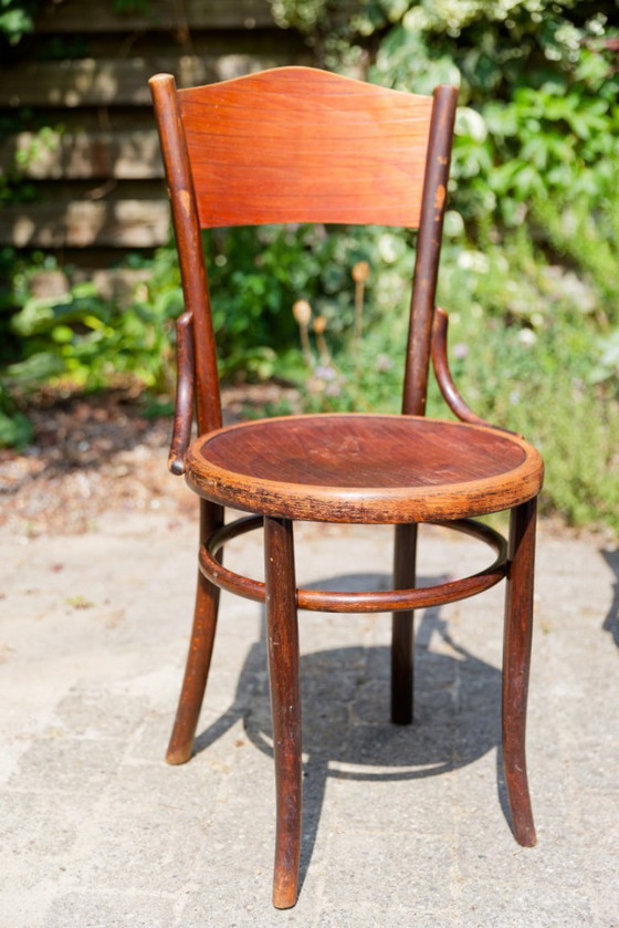 5x Vintage Fischel Thonet-style cafe chairs with pressed seats – Dining chairs, Wood (photo 3 of 18)