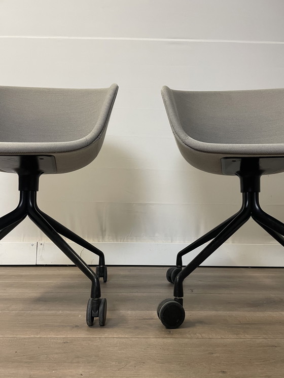 Image 1 of Sedie da pranzo/riunione/ufficio Hay AAC 25