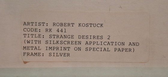 Robert Kostuck - "Strange Desires 1" & "Strange Desires 2" – Arte, Vetro, Metallo (photo 20 of 22)