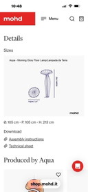 Morning glory floor lamp
