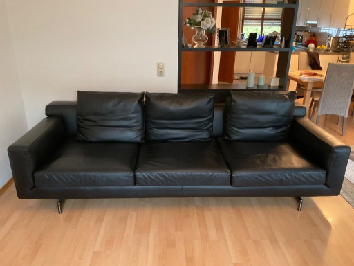 Busnelli "Byron" Luxus-Ledersofa - Schwarzes Welter-Leder (274 x 103 x 71 cm)