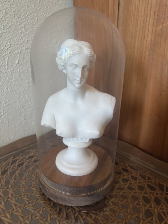 Image 1 of Buste de Vénus – albâtre pur – style académique classique et sombre