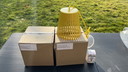Lampada a sospensione Gispen Ray 17cm gialla