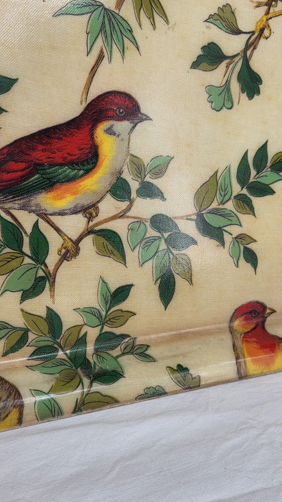 Vintage dienblad met exotische vogeldecoratie, 40 × 30 cm, Keukenaccessoires, Anders, Meerdere kleuren (foto 4 van 7)