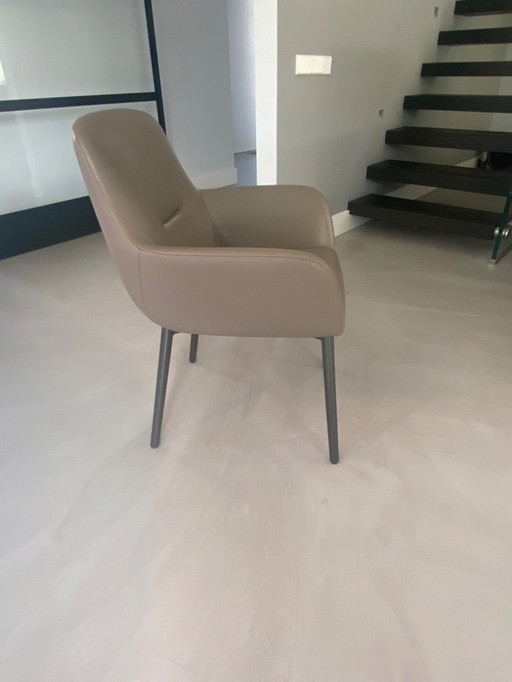 Minotti Flavin dining chair 4x