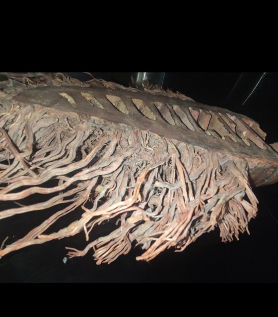 Image 1 of Chinees masker