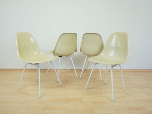 Charles Eames Fiberglass Side Chairs Herman Miller Vintage Mid - Century Modern 1960s