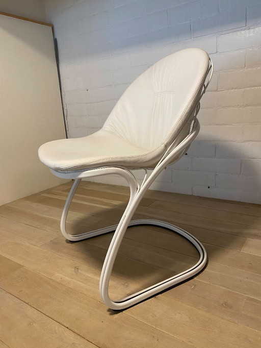 Président Gastone Rinaldi