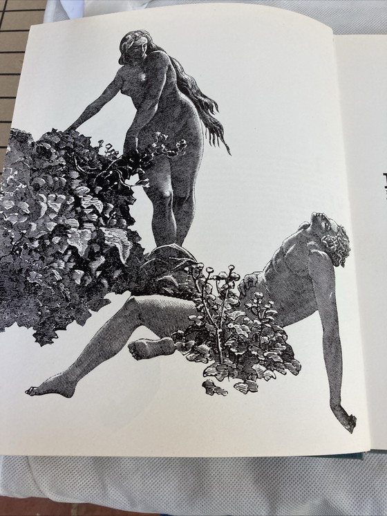 Image 1 of Szenen aus der Bibel, illustriert von GUSTAVE DORÉ 1969