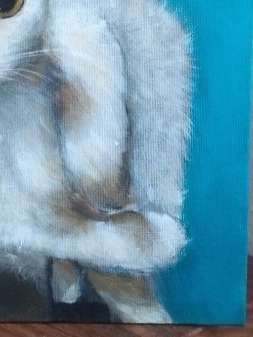 Pintura de gato 🐱