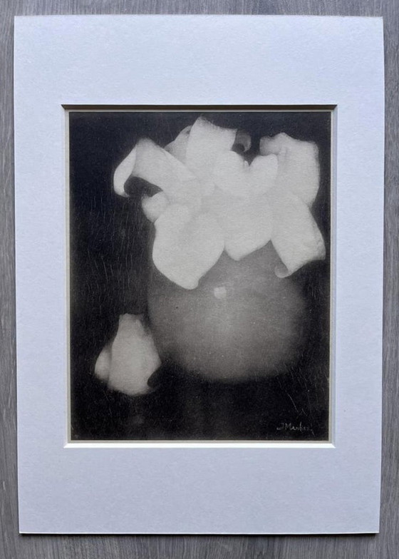 Image 1 of Jan Mankes 1889-1920 / Héliogravure originale Lys Calla 1923