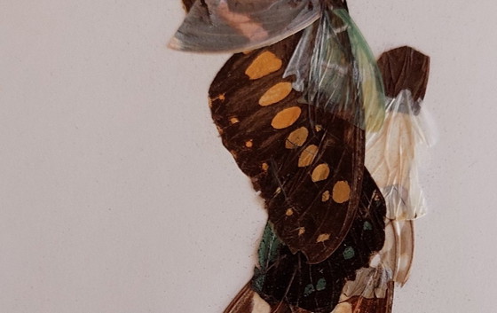 Vintage Butterfly Wing Art, Glass, Metal, Beige (photo 3 of 5)