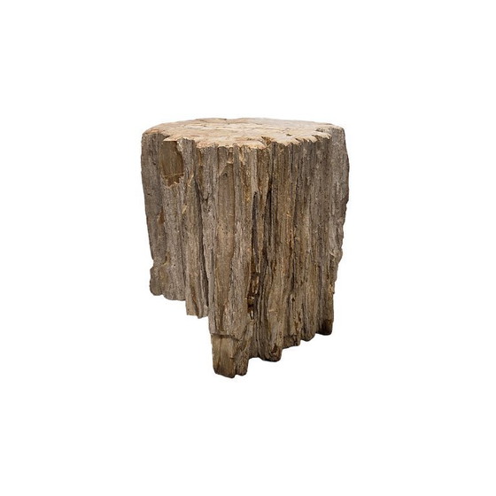 Image 1 of Madera petrificada como mesa auxiliar, de más de 50 millones de años.