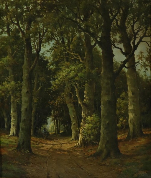 A.M. Geijp