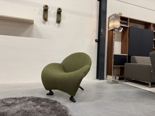 Leolux Papageno Fauteuil Groen stof 