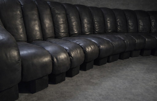 DS 600 El sofá Snake