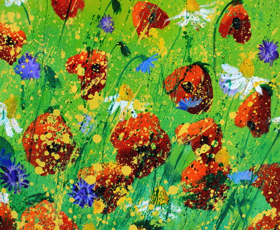 Image 1 of Red Poppies