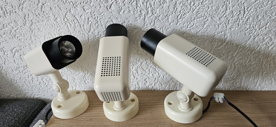 Image 1 of Herda fleckt 3 Stück