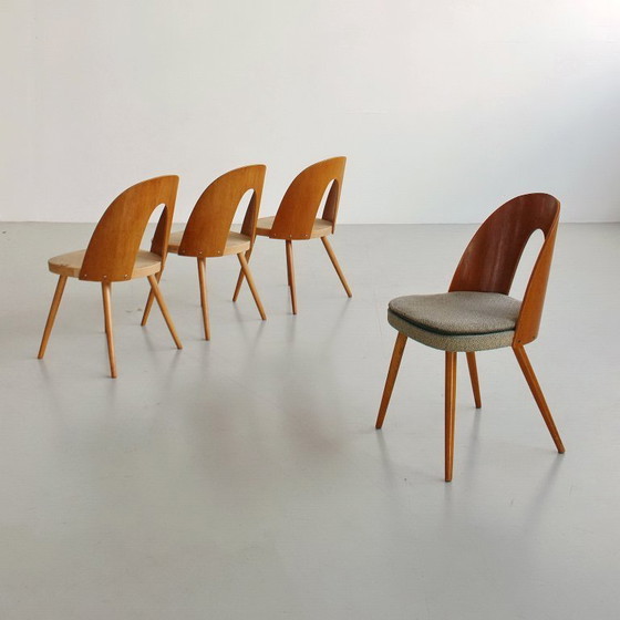 Image 1 of Sillas icónicas de Antonín Šuman con respaldos curvos chapados en madera, estilo moderno de mediados de siglo, década de 1960.